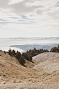 Mark + Magda | Mount Tamalpais, San Francisco