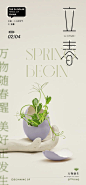 立春节气简约海报