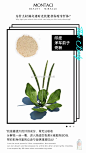 
印度洋车前子壳粉：
“我是最强大的纤维成分，胃无法吸收分解我一丝一毫，进入肠道后我遇水能膨胀80倍，帮你把身体里的垃圾与宿便通通排出！” ​​​​
