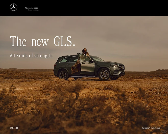 Mercedes Benz GLS - ...