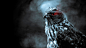 animals bird of prey birds hawk red eyes wallpaper (#2605151) / Wallbase.cc