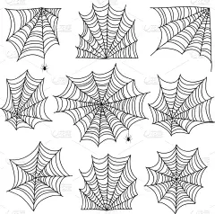 怪异,蜘蛛网,角度,恐惧症,野生动物,蜘蛛纲,蜘蛛,弯曲