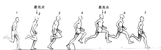 人物运动规律走路分解图