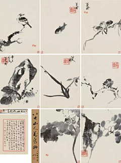这是山爷采集到❤