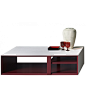 Multibox Coffee Table Capodopera