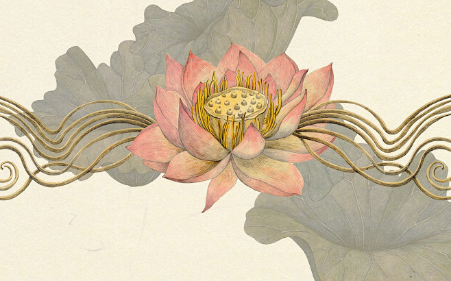 Lotus on Behance (7)