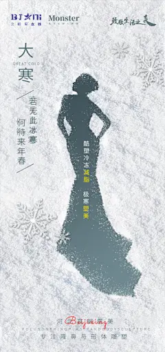 【开始画】海报 医美 二十四节气 大寒 小寒 大雪  |271814 