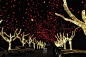 春节夜景_百度图片搜索