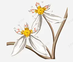 手绘白色鸢尾花 平面电商 创意素材