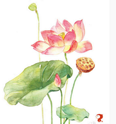 老板做个人吧采集到水彩