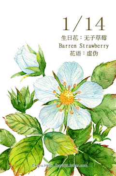 夏天的插画市集采集到水彩