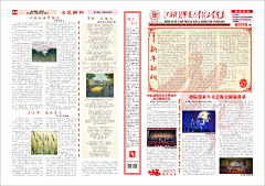 云诺子扬采集到简报、报纸