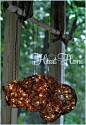 Easy DIY Outdoor Light! We could figure out how expensive grape vine balls are...