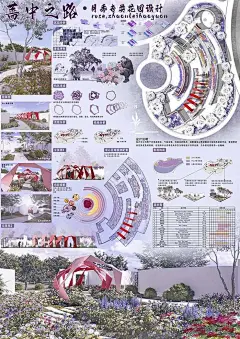 缤纷月季活力南阳花镜获奖作品分享第一弹 - 小红书