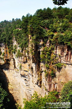 Zhaotongyuanyuan采集到张家界：放大的盆景，