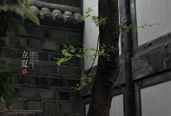 曹77采集到1