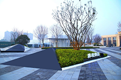 JIORUFH采集到树池