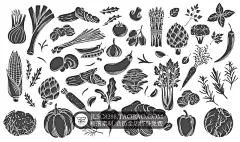 黑白彩色手绘水果蔬菜茄子青菜包菜葱蒜辣椒花菜黄瓜胡萝卜AI素材-淘宝网