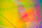 013f1160a23f9011013f47200f8802.jpg@1280w_1l_2o_100sh