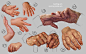 Hand Study 3 - Young and Old by ~irysching on deviantART