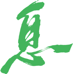 -禁止访问采集到字体
