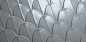 114_organic_scale_height
