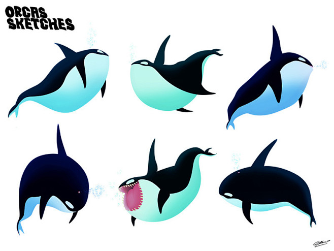 Orcas SKETCHES drawi...