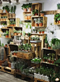 HomelySmart | 10+ Magnificent Urban Garden You’ll Want For Your Living Space