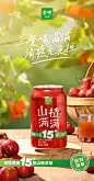 产品海报丨金晔山楂满满 × 吉事花生