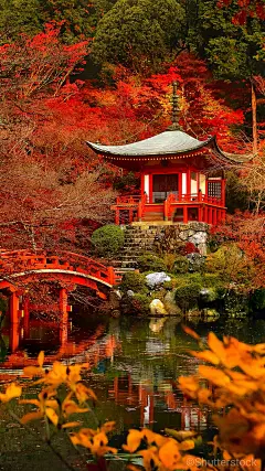 采集图片