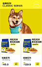 O1CN01tt4yFu1uM7qT5ME8M_!!1918356022.jpg (1200×1913)