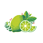 Adam Grason . - Key Lime Mojito - Williams Sonoma : Had the opportunity to work with the creative team over at Williams Sonoma on Key Lime Mojito Mixer. My main role was to create the updated Lime Illustration.