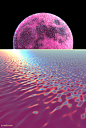 Tumblr