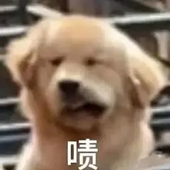 沙雕表情包 每张表情都戳中笑点 - 小红书