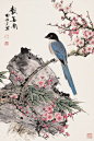 [高清]工笔画家作品