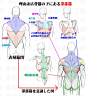 画画素材资源库之角色人体背部肌肉结构参考图