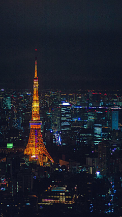 花芯不是花心采集到城市