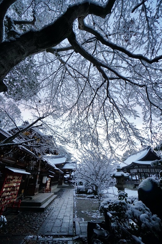 雪景