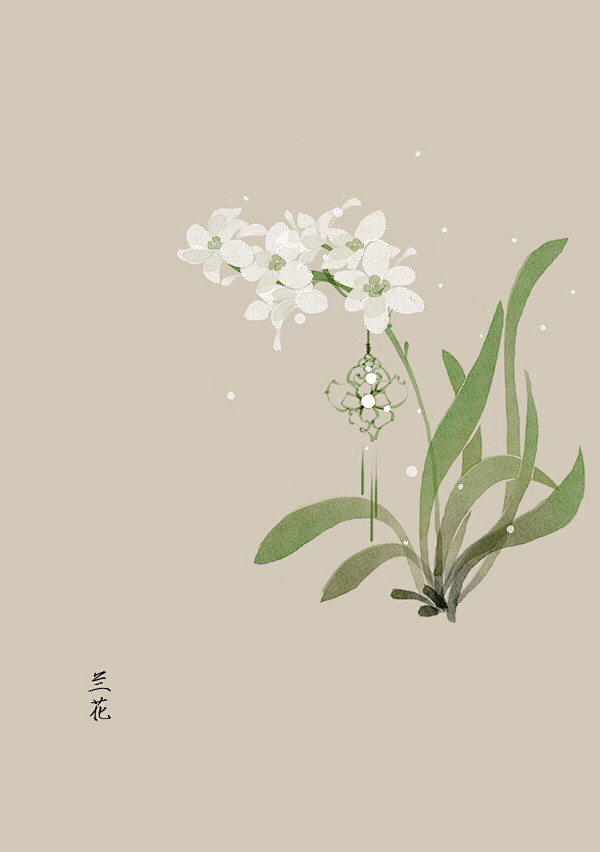 水彩 植物花卉 插画 artistic青...