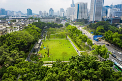 彭彭不二采集到中庭绿化效果图