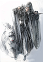 「霹雳布袋戏」作者/长阳