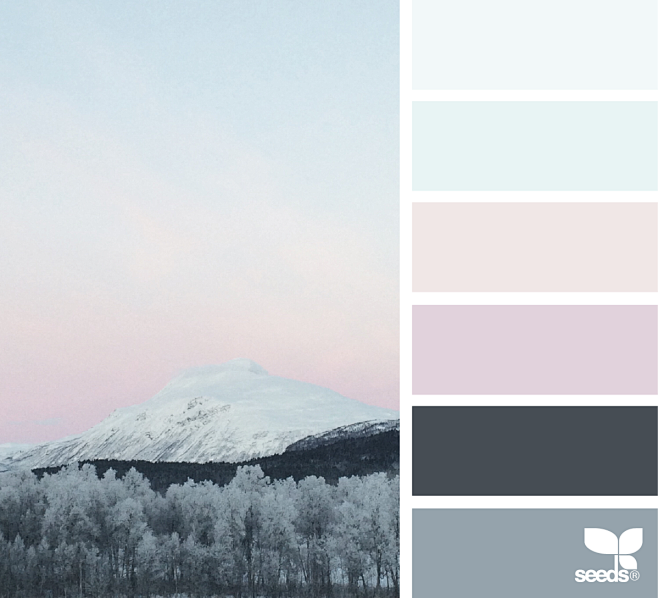Color Chill | Design...