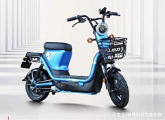 鑫想诗成采集到新国标电动自行车