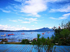 采集到背景素材