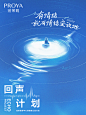 珀莱雅、回声计划