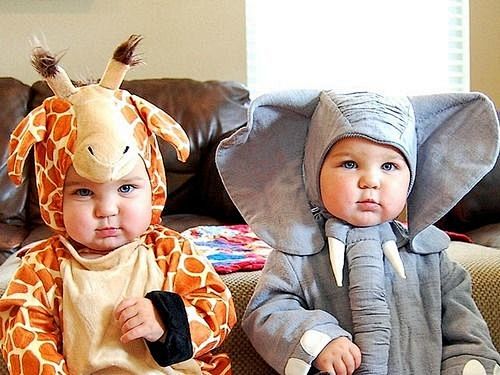 the cutest elephant ...