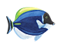 海底世界鱼PNG