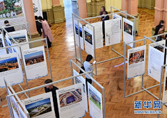 Ivy喵喵喵采集到通道展示