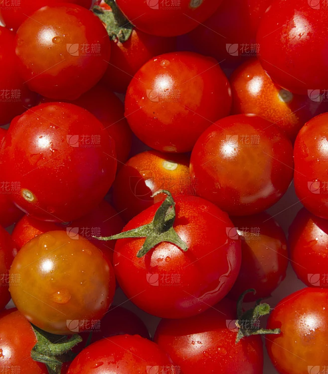 Tomatos