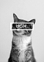wallpapers tumblr iphone love - Buscar con Google: